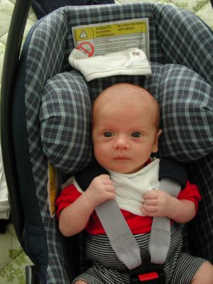 Aleks_imMaxiCosi2.jpg